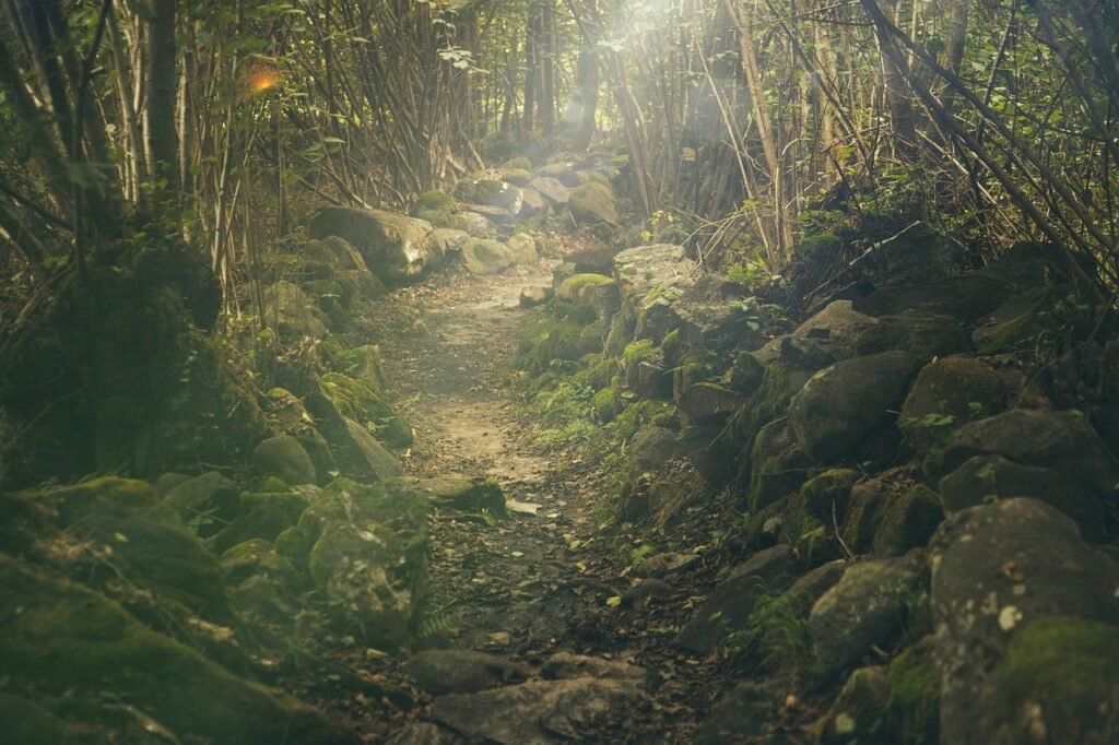 How Does Spending Time In Natural Sunlight Impact Relaxation And Mood?