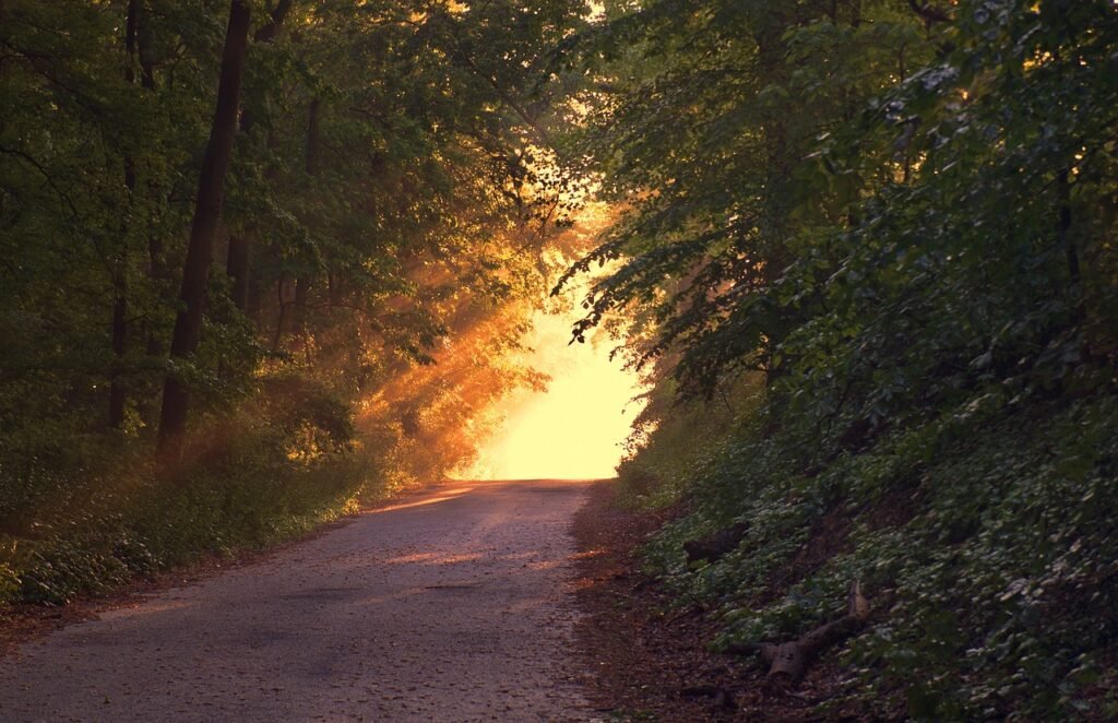 How Does Spending Time In Natural Sunlight Impact Relaxation And Mood?